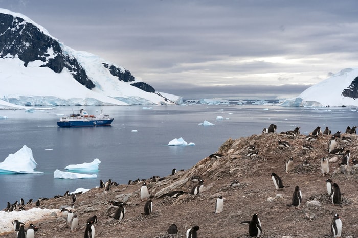 Antarctic Peninsula, Antarctica image